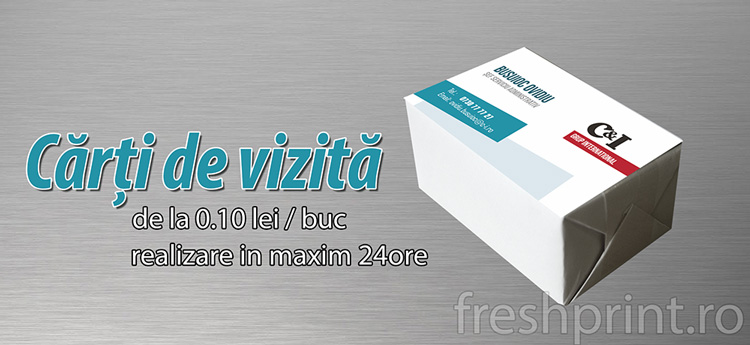 cv-Car-Service-carti-de-vizita
